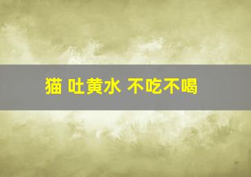 猫 吐黄水 不吃不喝